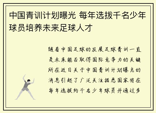 中国青训计划曝光 每年选拔千名少年球员培养未来足球人才