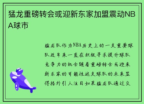 猛龙重磅转会或迎新东家加盟震动NBA球市